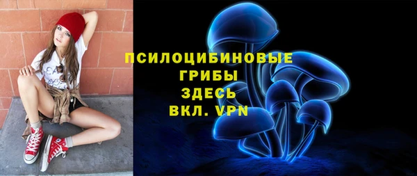 а пвп мука Надым