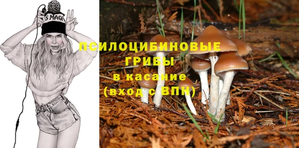 а пвп мука Надым