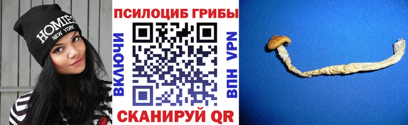 Галлюциногенные грибы мухоморы hydra вход Нерехта дарнет шоп